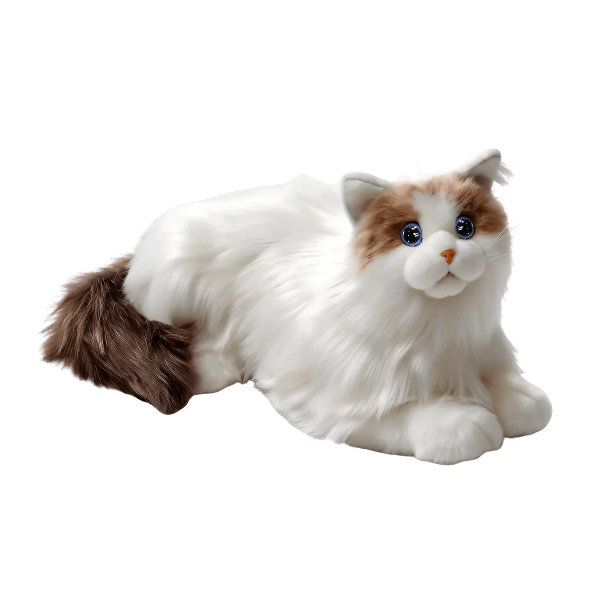米塔猫