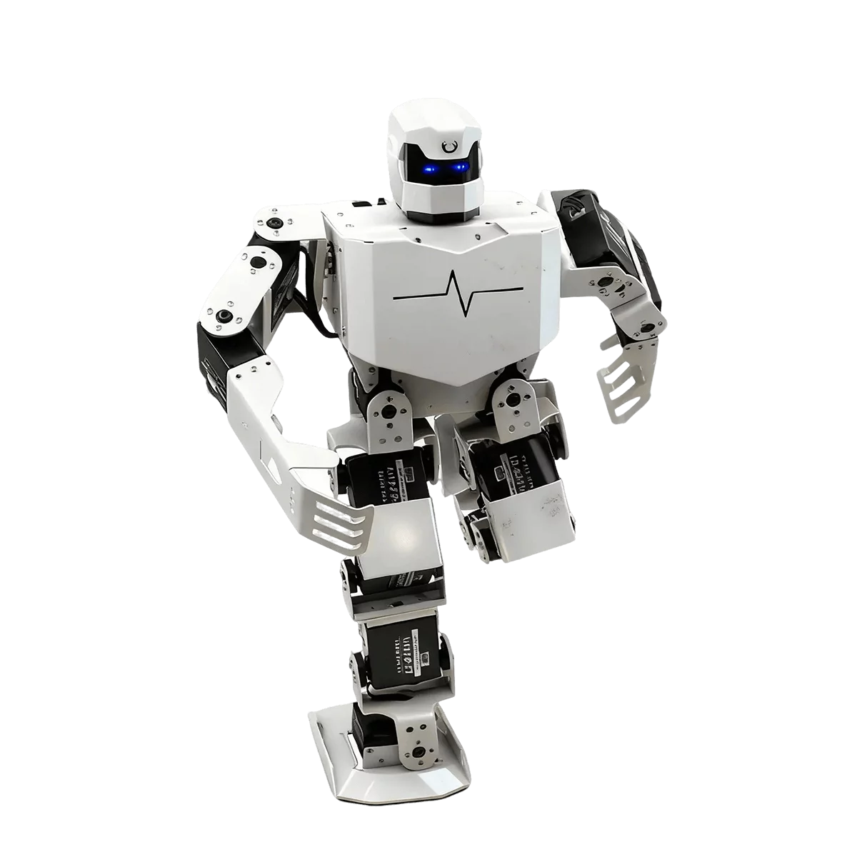 RoboSoul H5S